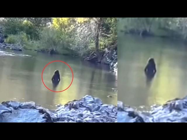 Most UNSETTLING Trail Cam Footage Caught on Camera Vol.6