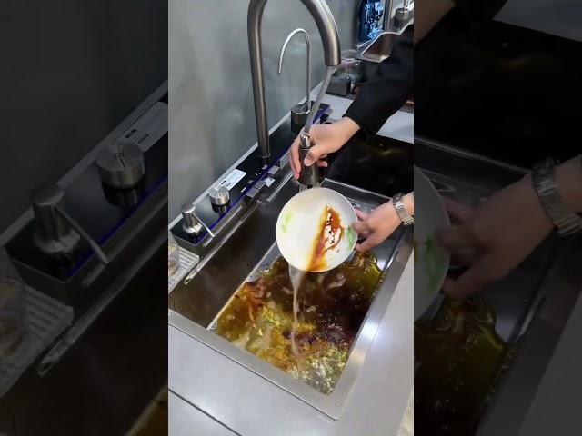 Blerex Sink: Elevate Your Kitchen with Functional Luxury!