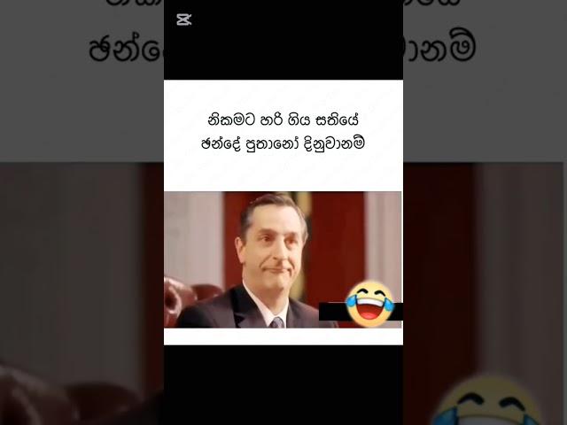 #srilanka #news #anurakumaradissanayake #fypシ゚viral #fy #fypage #slpolitics #akd #duet #