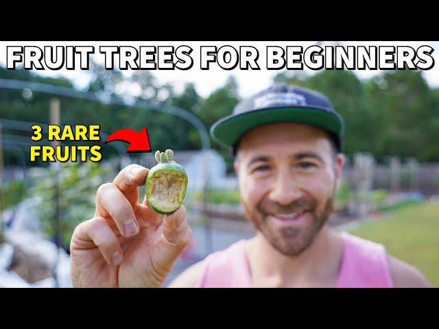 These 3 RARE Fruit Trees Are Perfect For BEGINNER Gardeners!