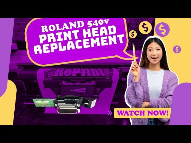 Roland SP 540v 300v PRINT HEAD replacement and ALIGNMENTS save money replace yourself! DX4 EPSON