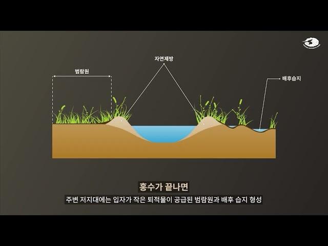 하천이 만든 지형과 지질 - 하천과 제방 - 그래픽