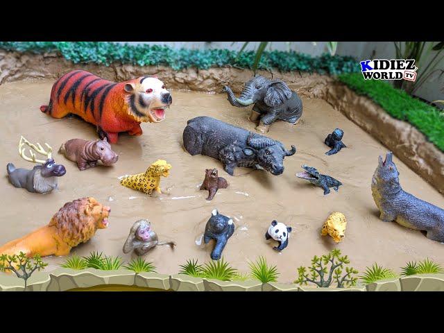 Jungle Animals Adventure | Lion, Gorilla, Panda & More Fun Learning for Kids