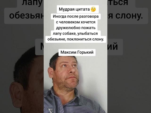 Иногда после разговора. Мудрая цитата Мудрость слов. Правда жизни. Цитата. #мудрые_мысли #цитаты