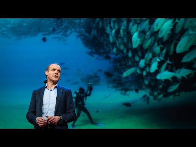 Let's turn the high seas into the world's largest nature reserve | Enric Sala