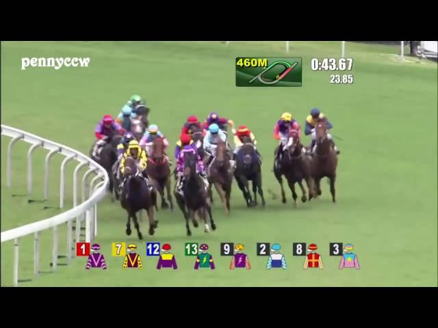 Craziest horse racing DEBUT ever - #6 Pakistan Stars from Last to First!! Hong Kong (2016)