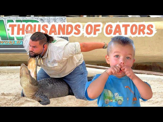 The Alligator Capital of the World With a Toddler | Gatorland Orlando, Florida