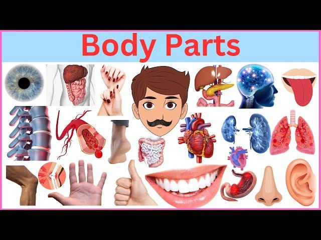 Learn Body Parts Names Faster Than Your Friends!