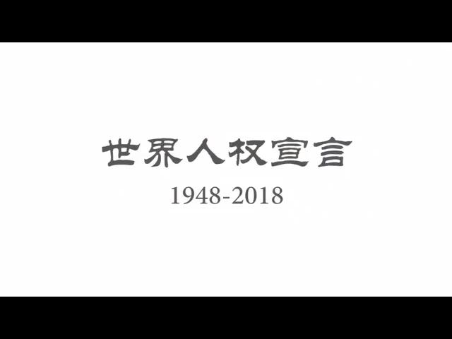 《世界人权宣言》视频项目