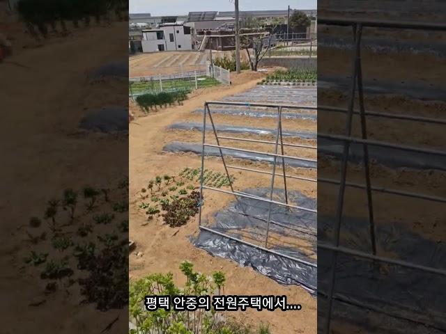 평택 안중 전원주택