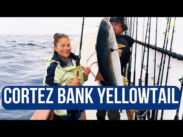 How to fish Cortez Bank for Yellowtail & LIMITS of Bluefin Tuna