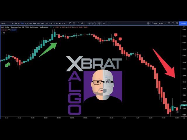 ️ The xBratAlgo Trading Indicator - Keeping Your Trading Simple & Repeatable