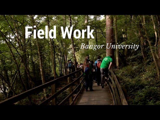 Field Work - School of Environment, Natural Resources and Geography