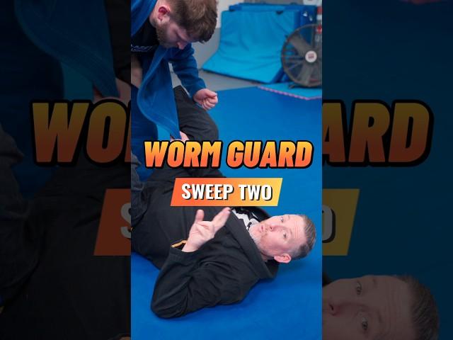 Second of three parts looking at Attacks from Worm Guard ️🪱 (See previous video for sweep one) #bjj