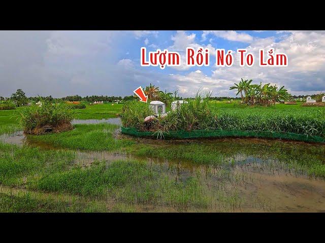 Tới Lui Liên Tục Cũng Phải Bắt Được Thôi | Mười Thương Săn Bắt