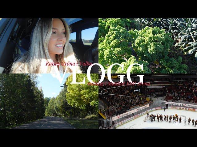 vlogg: kajsas gröna i valbo & middag i monitor erp arena