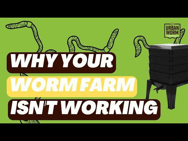 Coffee & Compost: Why Your Stackable Worm Farm Isn't Working