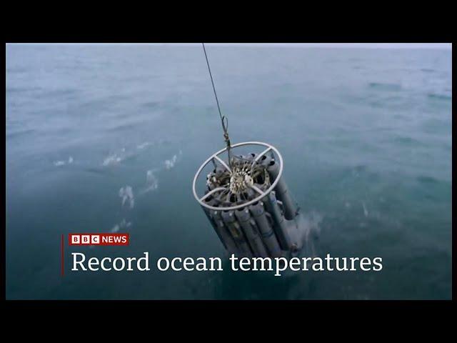 Oceans have hit the highest ever recorded temperature (Global)