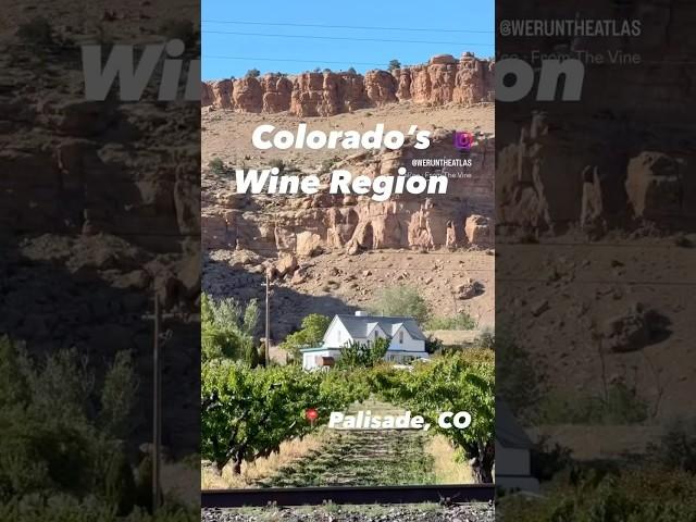 Colorado’s Wine Region! Exploring Palisade