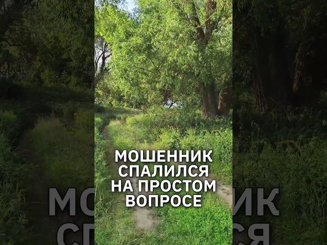 Мошенник из "фонда ОМС" сломался на внезапном вопросе #юмор #приколы #мошенникизвонят #прикол