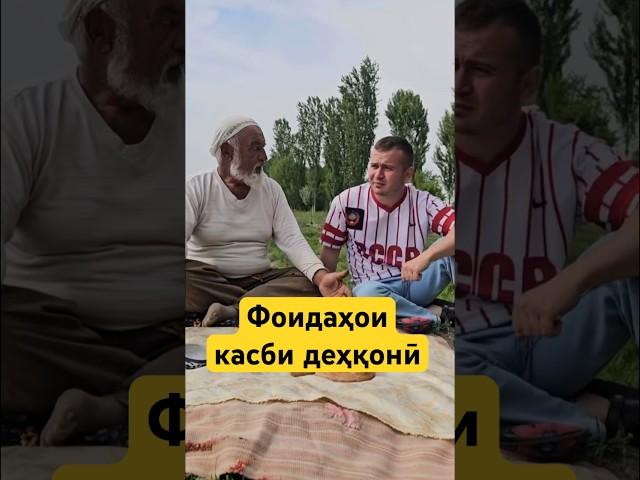 Исфара 2025-фоидахои алафчойи дехкони #isfara #исфара #ворух #travel