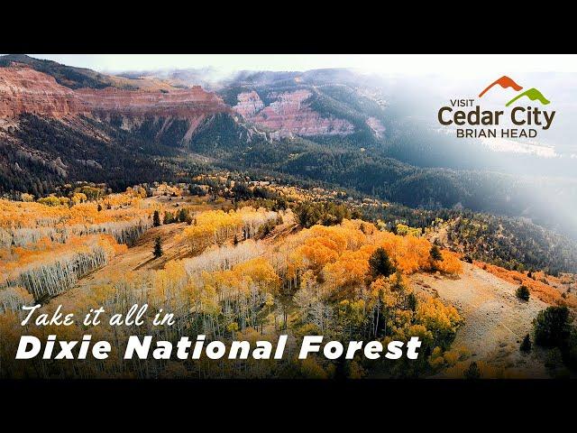 Find Adventure in Dixie National Forest | Cedar City & Brian Head, UT