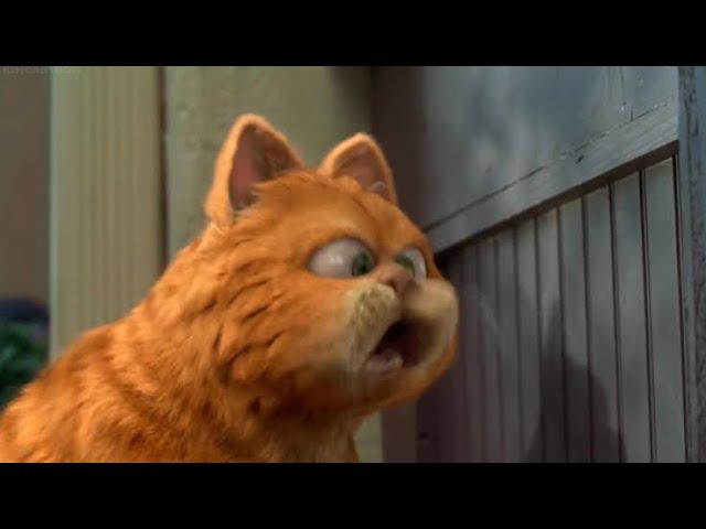 Garfield (Live Action) Burp & Fart Compilation