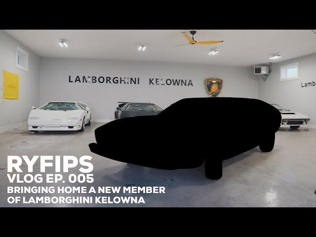 Bringing Home a New Member of Lamborghini Kelowna  RyFips Vlog Ep  005