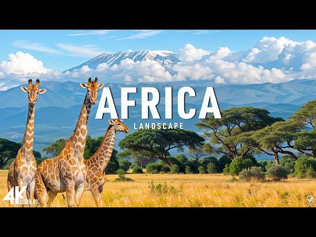 AFRICA 4K • Breathtaking Wildlife - Relaxation Film - Nature 4K Video UltraHD