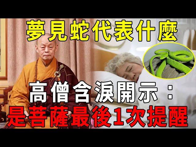 睡覺夢見蛇代表什麼？高僧含淚開示：這是佛菩薩的最後1次提醒！再不注意真成「短命鬼」了！【曉書說】