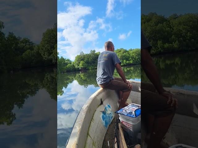 Enterpoint to Nan Madol in Pohnpei #micronesia #spearfishing #fishinglife #boating