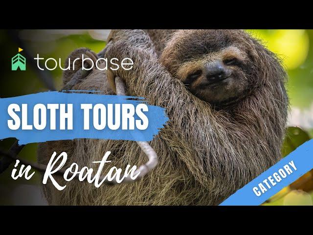 Roatan Tourbase - Sloth Category