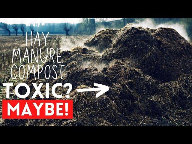 The Truth about TOXIC HERBICIDES in Hay, Compost, and Manure! (YOU BETTER WATCH THIS)