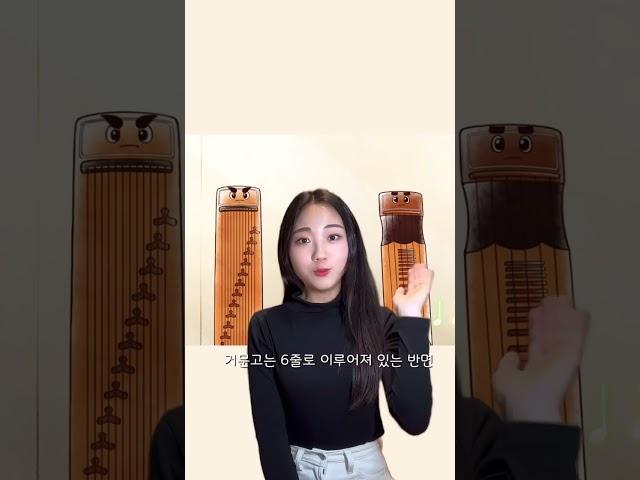 거문고&가야금 차이점은??