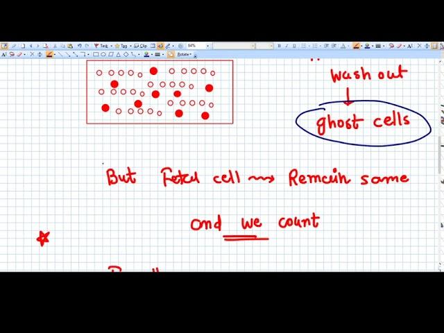 kleihauer test - Rh Negative Pregnancy - Concept