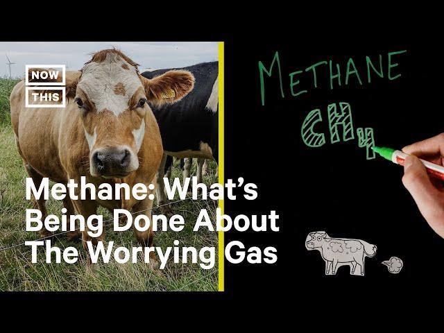 How the U.S. Plans to Address Methane Emissions