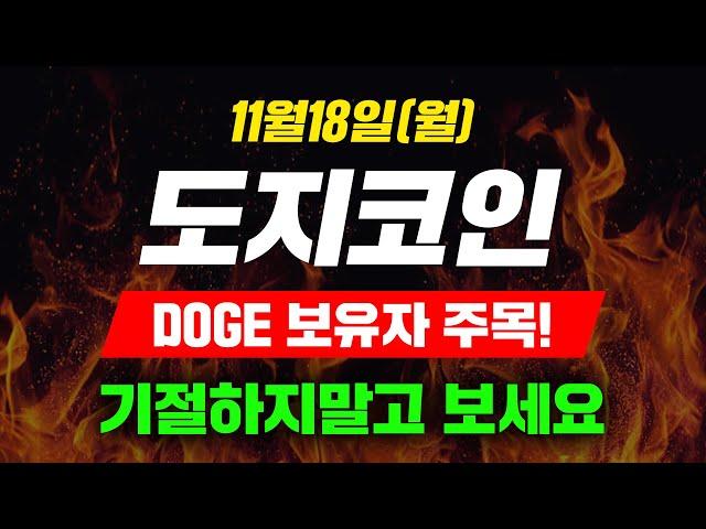 [긴급속보] 11월18일 (월) 도지코인 DOGE 보유자 주목! 기절하지말고 보세요 #도지코인 #도지코인전망 #도지전망