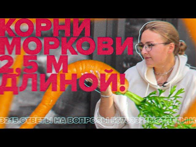 ПЕРЕКОПКА ГРУНТА УНИЧТОЖАЕТ БАКТЕРИИ?! Ответы на вопросы!