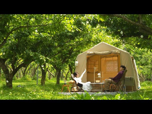 A tunnel in the woods surrounded by pear trees near Seoul! Relaxing camping underneath.