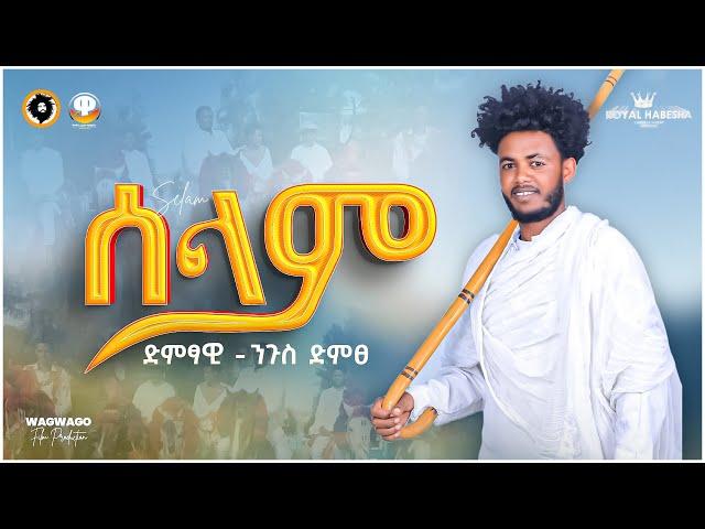 Ngus Dmtse (King) - Selam - ንጉስ ድምጸ  - ሰላም - New Tigrigna music 2024 (Official Video)