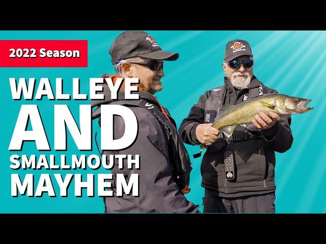 Walleye and Smallmouth Mayhem on Lady Evelyn Lake