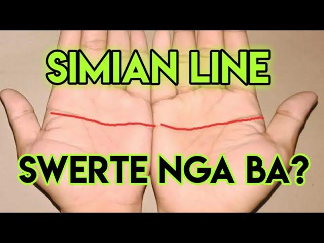 ANO ANG UGALI AT KAPALARAN NG MGA MAY SIMIAN LINE SA PALAD? NAPAKASWERTE NGA BA?(PALMISTRY)