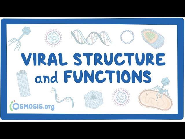 Viral Structure and Functions