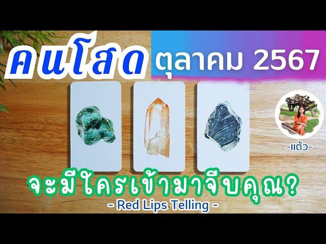 Pick A Card : คนโสด เดือนตุลาคม 2567 จะมีใครเข้ามาจีบคุณ?