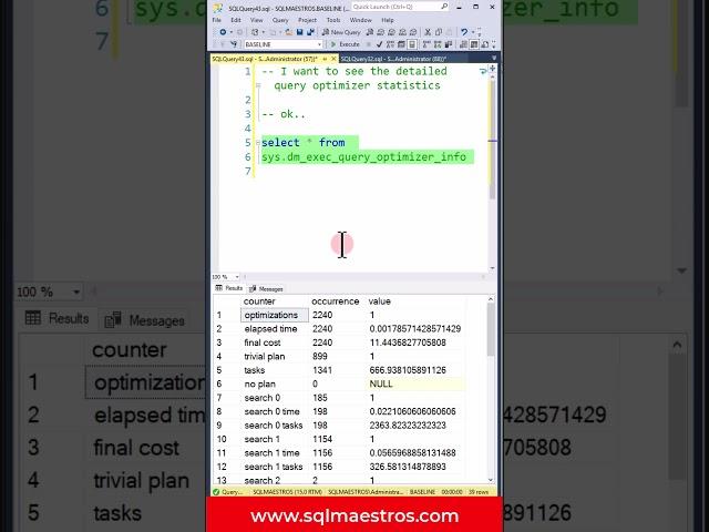 Detailed Query Optimizer Statistics