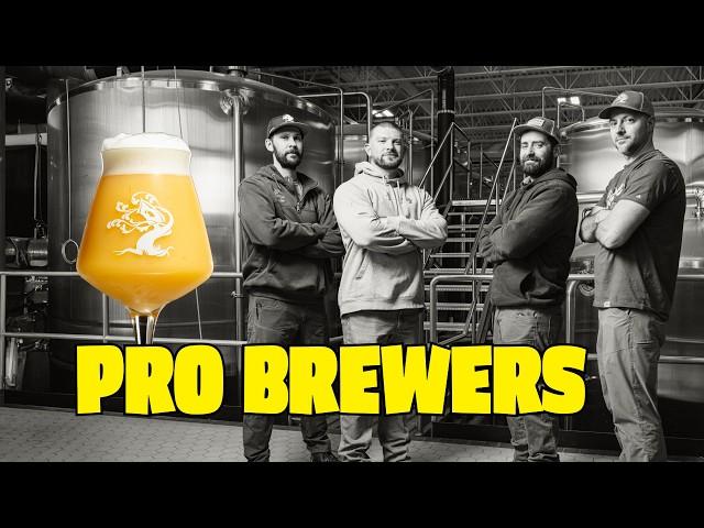 Pro brewers compete:  Single IPA Brewing Contest!