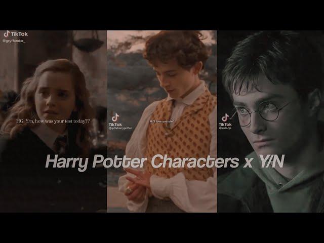 Harry Potter Characters x Y/N TikTok POV