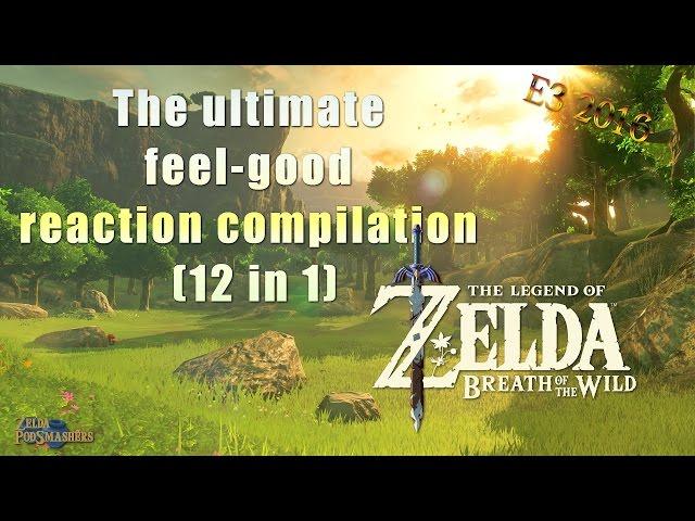 Ultimate feel-good reaction compilation (12 in 1) - Zelda: Breath of the Wild