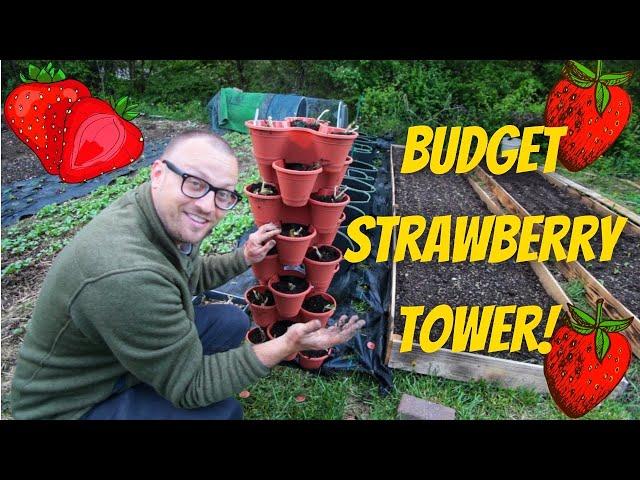 Dollar Tree Stackable Planters | Vertical Strawberry Tower on a Budget