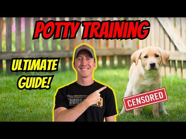 How To Potty Train A Puppy!  Everything You Need To Know!